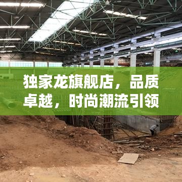 独家龙旗舰店，品质卓越，时尚潮流引领者
