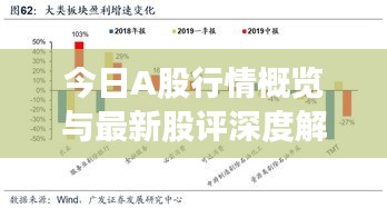 今日A股行情概览与最新股评深度解析