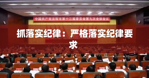 抓落实纪律：严格落实纪律要求 