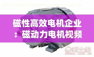 磁性高效电机企业：磁动力电机视频 
