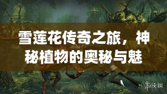 雪莲花传奇之旅，神秘植物的奥秘与魅力探索