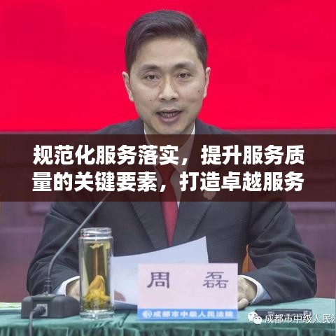 规范化服务落实，提升服务质量的关键要素，打造卓越服务体验！