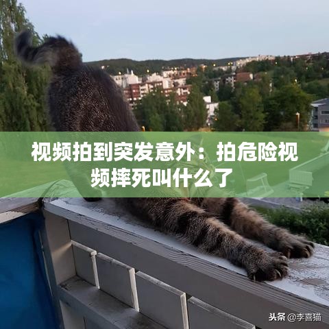 视频拍到突发意外：拍危险视频摔死叫什么了 