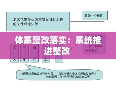 体系整改落实：系统推进整改 