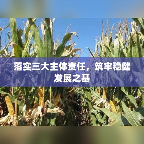 落实三大主体责任，筑牢稳健发展之基