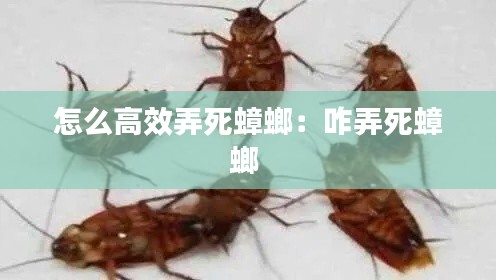 怎么高效弄死蟑螂：咋弄死蟑螂 