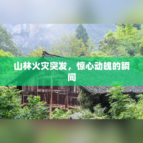 山林火灾突发，惊心动魄的瞬间