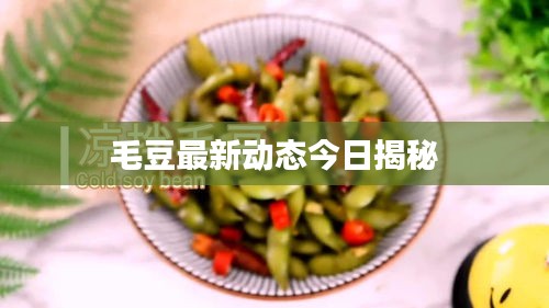 毛豆最新动态今日揭秘