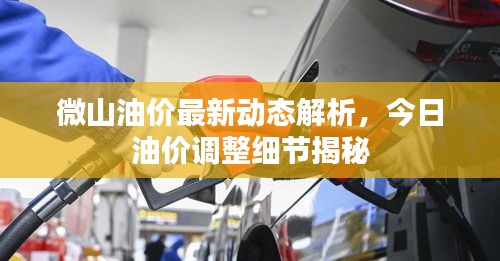 微山油价最新动态解析，今日油价调整细节揭秘