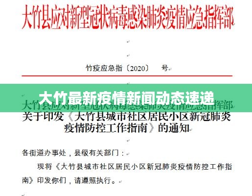 大竹最新疫情新闻动态速递