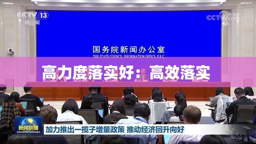 高力度落实好：高效落实 