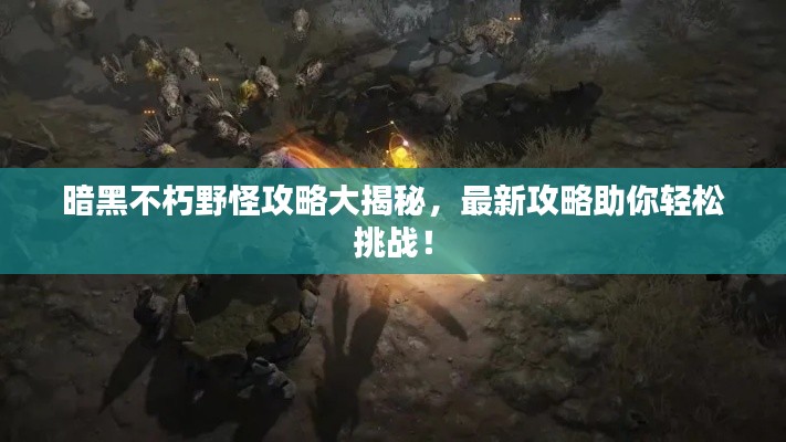 暗黑不朽野怪攻略大揭秘，最新攻略助你轻松挑战！