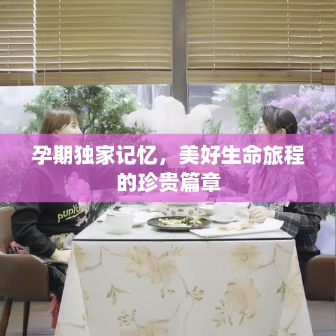 孕期独家记忆，美好生命旅程的珍贵篇章