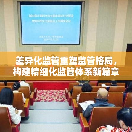 差异化监管重塑监管格局，构建精细化监管体系新篇章