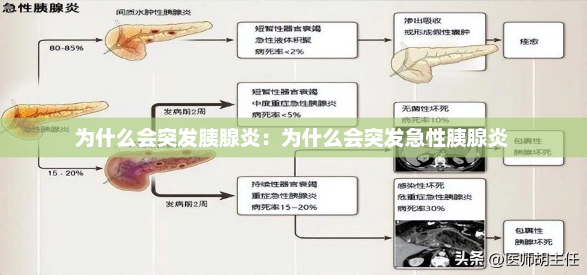 为什么会突发胰腺炎：为什么会突发急性胰腺炎 