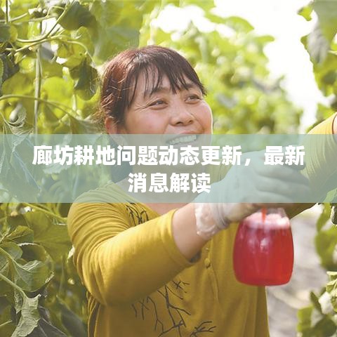 廊坊耕地问题动态更新，最新消息解读