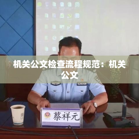 机关公文检查流程规范：机关 公文 