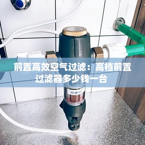 前置高效空气过滤：高档前置过滤器多少钱一台 