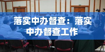 落实中办督查：落实中办督查工作 