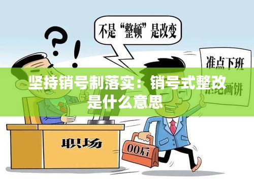 坚持销号制落实：销号式整改是什么意思 