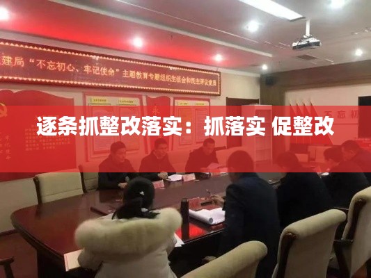 逐条抓整改落实：抓落实 促整改 