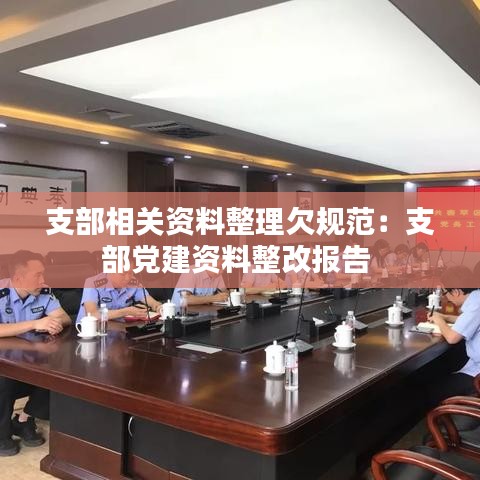 支部相关资料整理欠规范：支部党建资料整改报告 