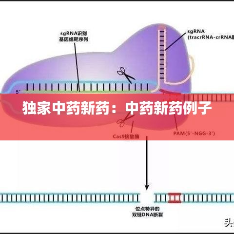 独家中药新药：中药新药例子 