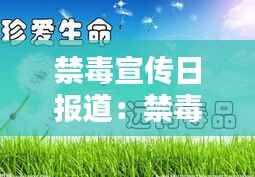 禁毒宣传日报道：禁毒日宣传信息 