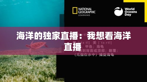 海洋的独家直播：我想看海洋直播 