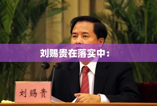 刘赐贵在落实中： 