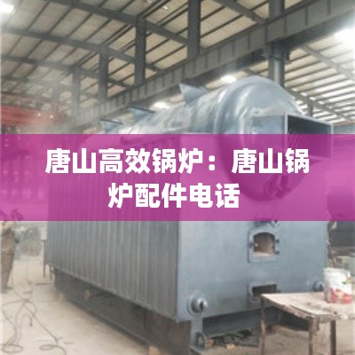 唐山高效锅炉：唐山锅炉配件电话 