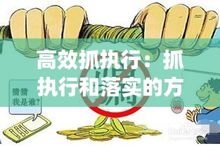 高效抓执行：抓执行和落实的方法 