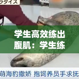 学生高效练出腹肌：学生练腹肌的动作视频教程 