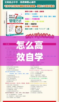 怎么高效自学初中：怎么样自学初中知识 