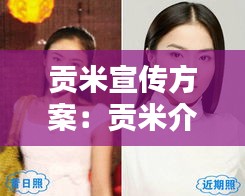贡米宣传方案：贡米介绍 