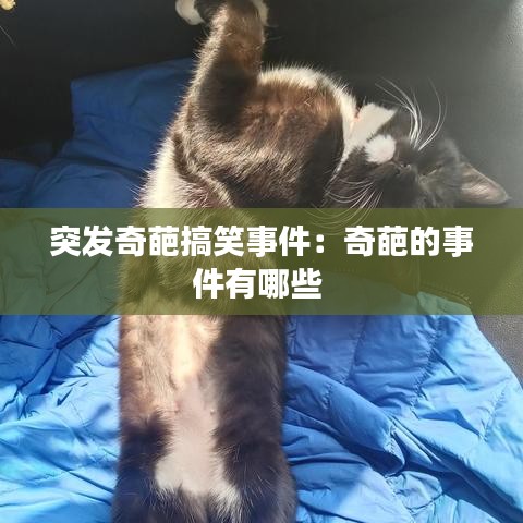 突发奇葩搞笑事件：奇葩的事件有哪些 