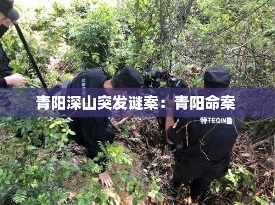 青阳深山突发谜案：青阳命案 