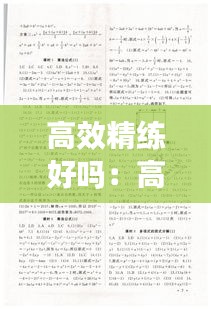 高效精练好吗：高效精练七年级下册答案 