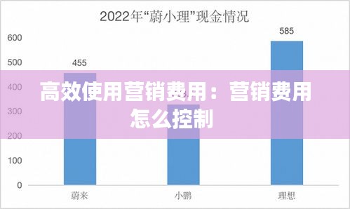 高效使用营销费用：营销费用怎么控制 