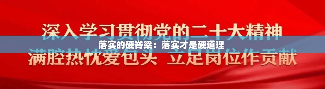 落实的硬脊梁：落实才是硬道理 