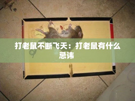 打老鼠不断飞天：打老鼠有什么忌讳 