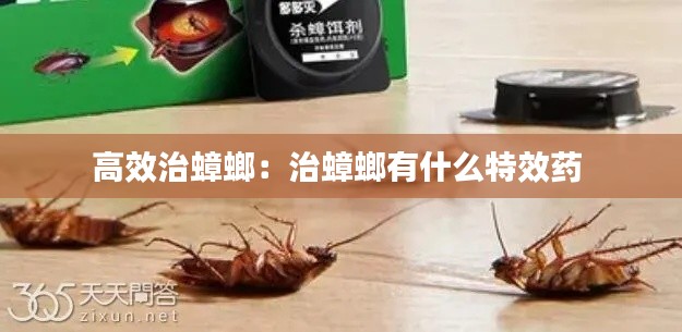 高效治蟑螂：治蟑螂有什么特效药 