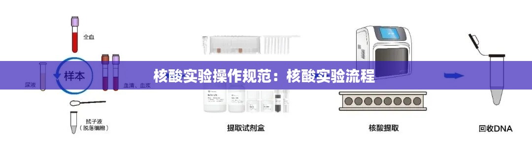 核酸实验操作规范：核酸实验流程 
