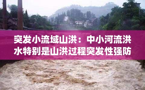 突发小流域山洪：中小河流洪水特别是山洪过程突发性强防范难度大 