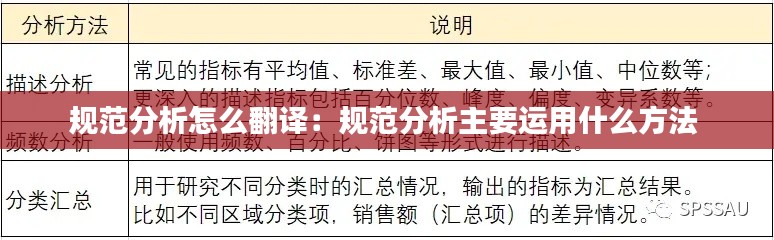 规范分析怎么翻译：规范分析主要运用什么方法 