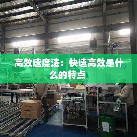 高效速度法：快速高效是什么的特点 