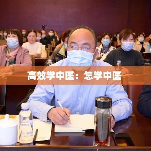 高效学中医：怎学中医 