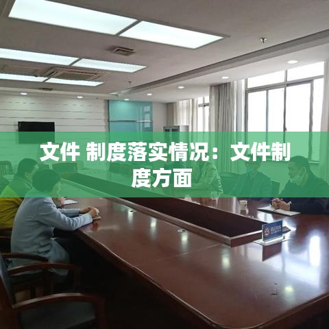 文件 制度落实情况：文件制度方面 