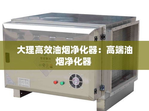 大理高效油烟净化器：高端油烟净化器 