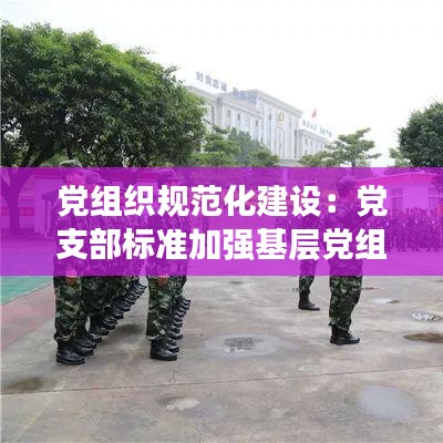 党组织规范化建设：党支部标准加强基层党组织规范化建设 
